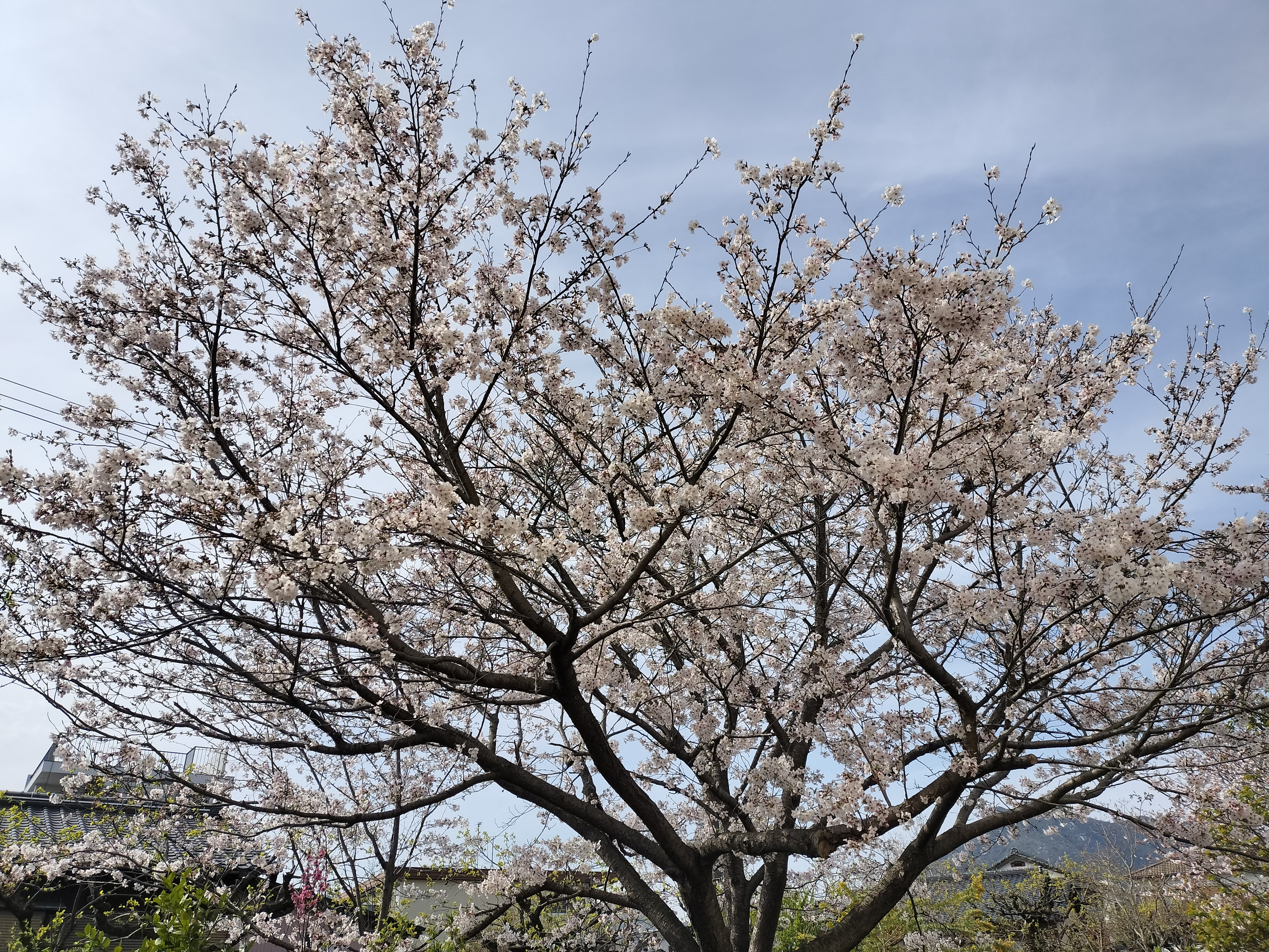 5月カレンダー更新いたしました✨