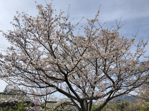 5月カレンダー更新いたしました✨