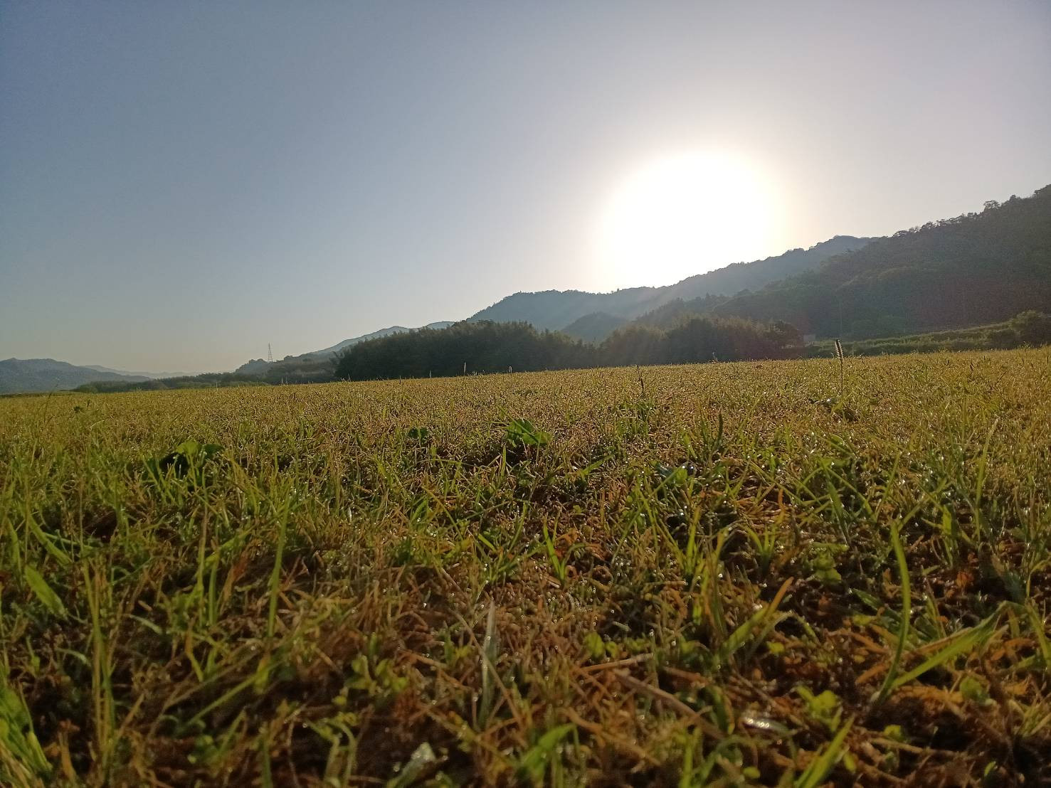 ７月カレンダー更新いたしました