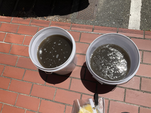 IMG_9805.jpeg