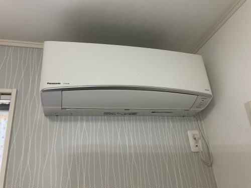 IMG_0520.jpeg