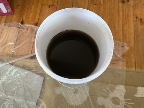 IMG_2463.jpeg