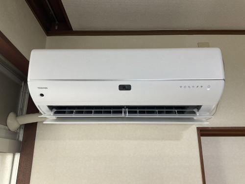 IMG_2701.jpeg