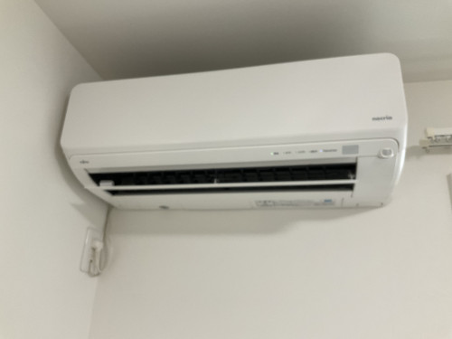 IMG_2919.jpeg