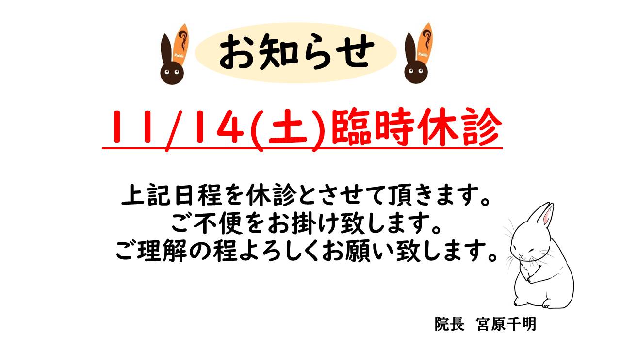11月臨時休診