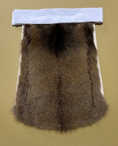 raccoon4.jpg