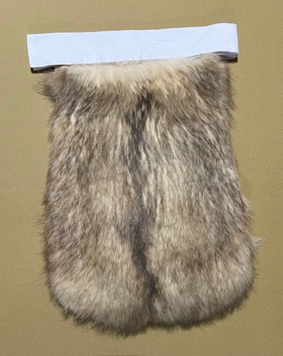 ・シベリアラクーン　1