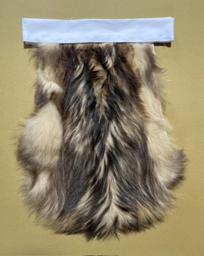 ・シベリアンラクーン　２