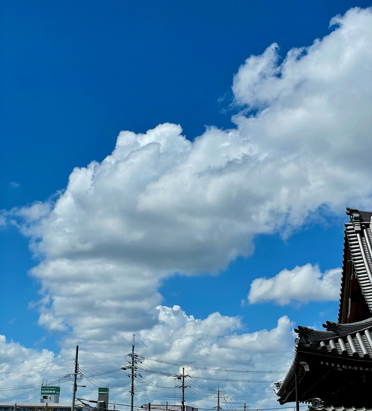 今月の行事（７月）について