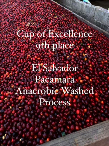 - Cup of Excellence 9th place -