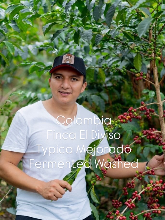 エルディヴィソ農園ティピカメホラード種ファーメンテッドウォッシュ