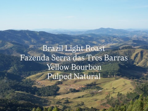 ブラジルの綺麗な浅煎りコーヒー