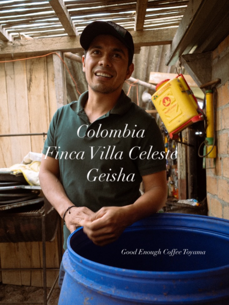 - 新しいゲイシャが届きました！-