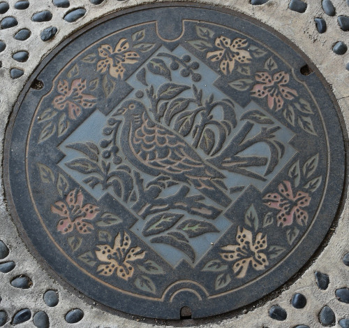 大阪府池田市DSC_2844.JPG