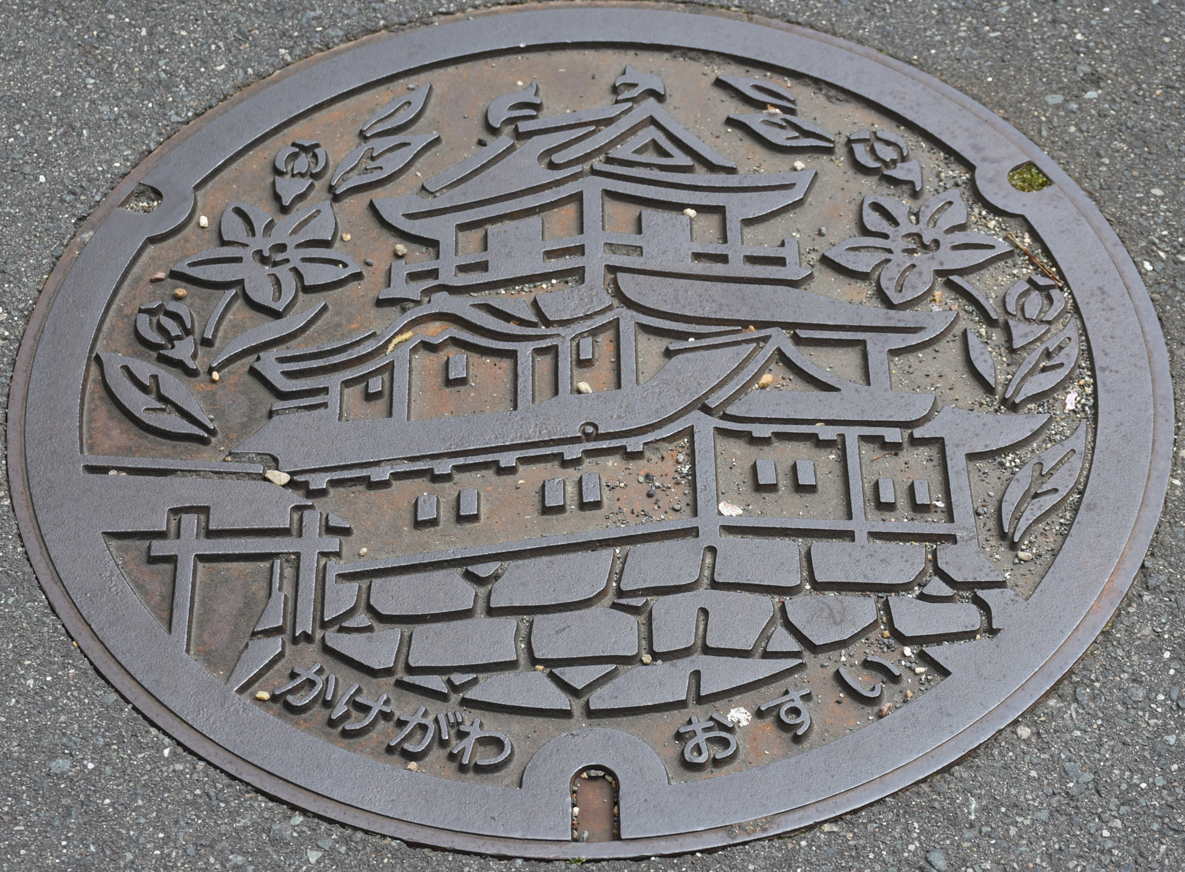 まなびおおさかステイホーム応援第十弾　芝川先生、今日も行く　　　　　　マンホール見聞録第91回目　掛川市のマンホール2回目です。