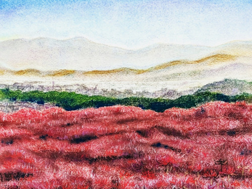 奈良　九品寺の彼岸花2.jpg