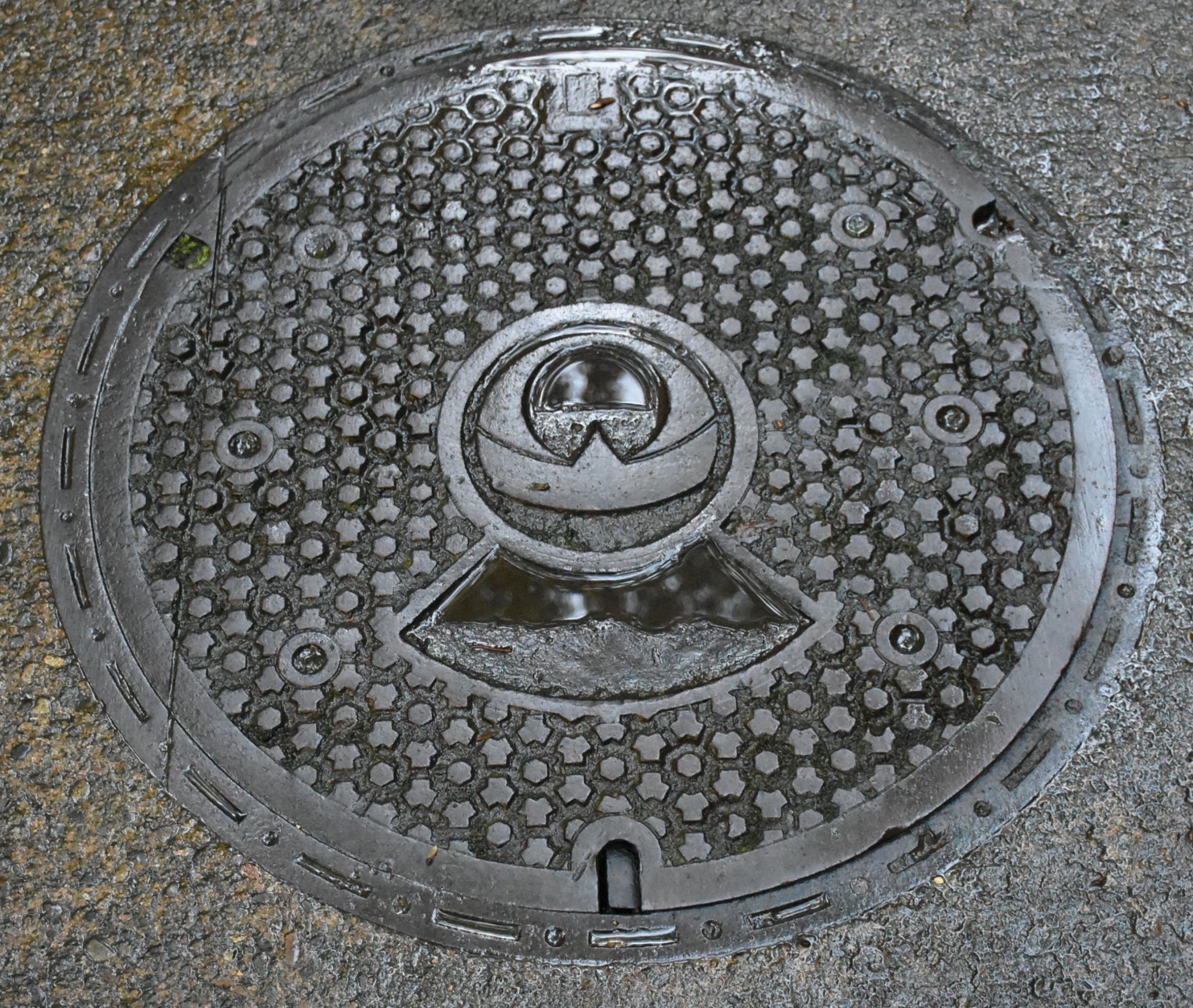 まなびおおさかステイホーム応援第十弾　芝川先生、今日も行く　　　　　　マンホール見聞録第97回　福井県永平寺のマンホールです。