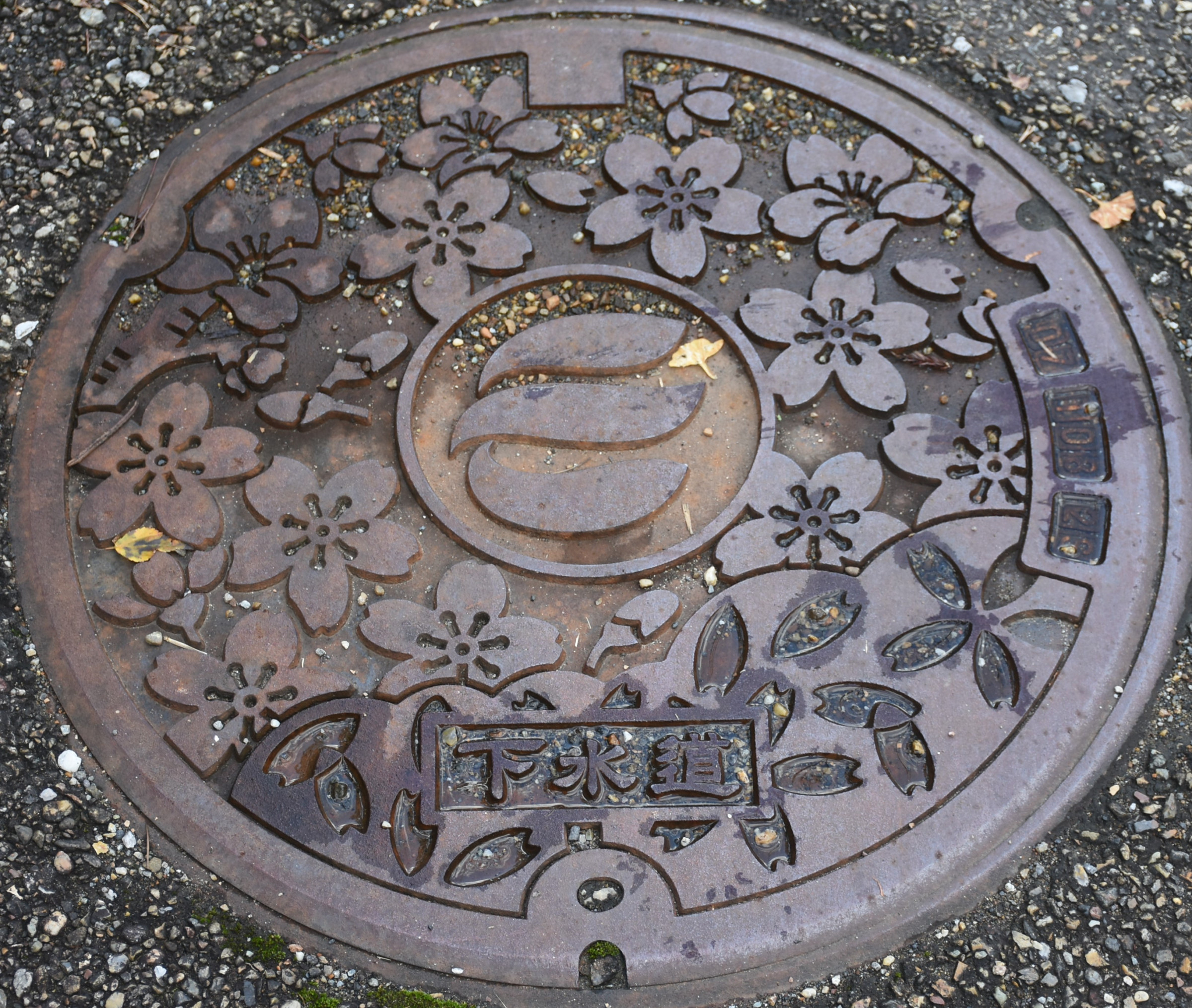 まなびおおさかステイホーム応援第十弾　芝川先生、今日も行く　　　　　　マンホール見聞録第98回　福井県越前市大滝町のマンホールです。