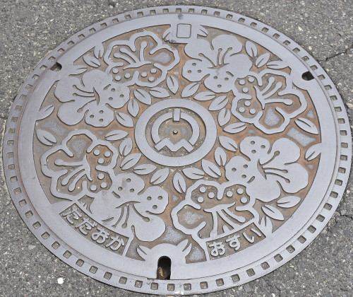 忠岡町DSC_3619 (1)-1.jpg