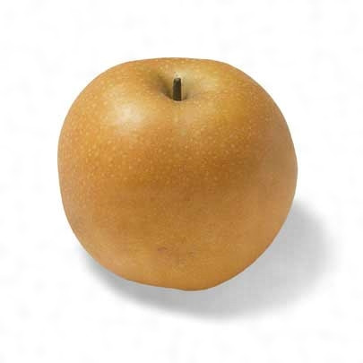 令和７年度第一回臨時総会を開催しました。