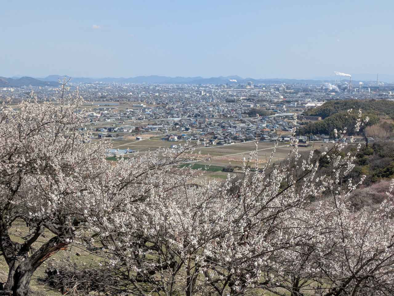 令和八年度会員の活動紹介3　 　　　　　　　　　　　　　　　　和敬さんは,優雅の会に参加されました。