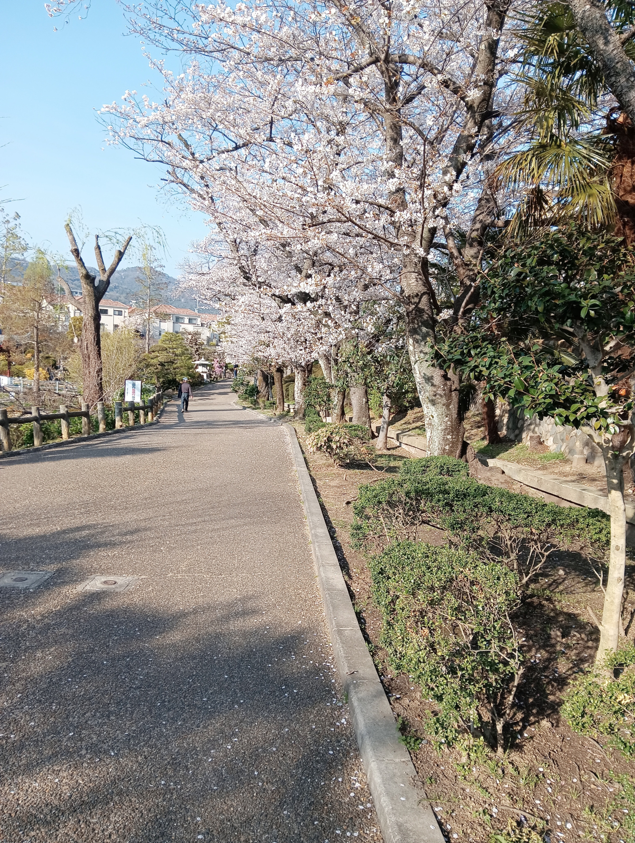 ホームページが変わります