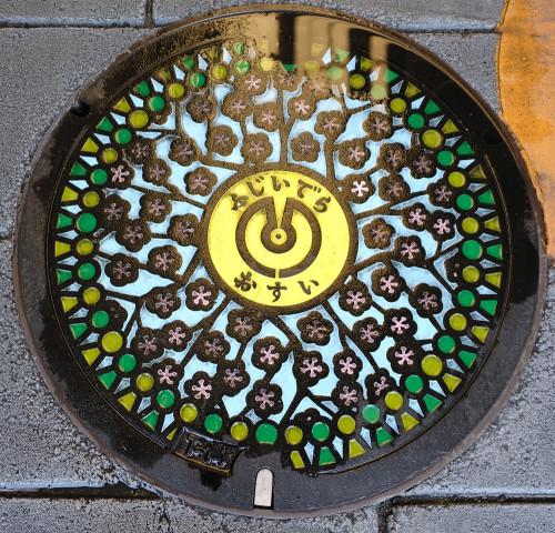 藤井寺市DSCF0314 (2).JPG