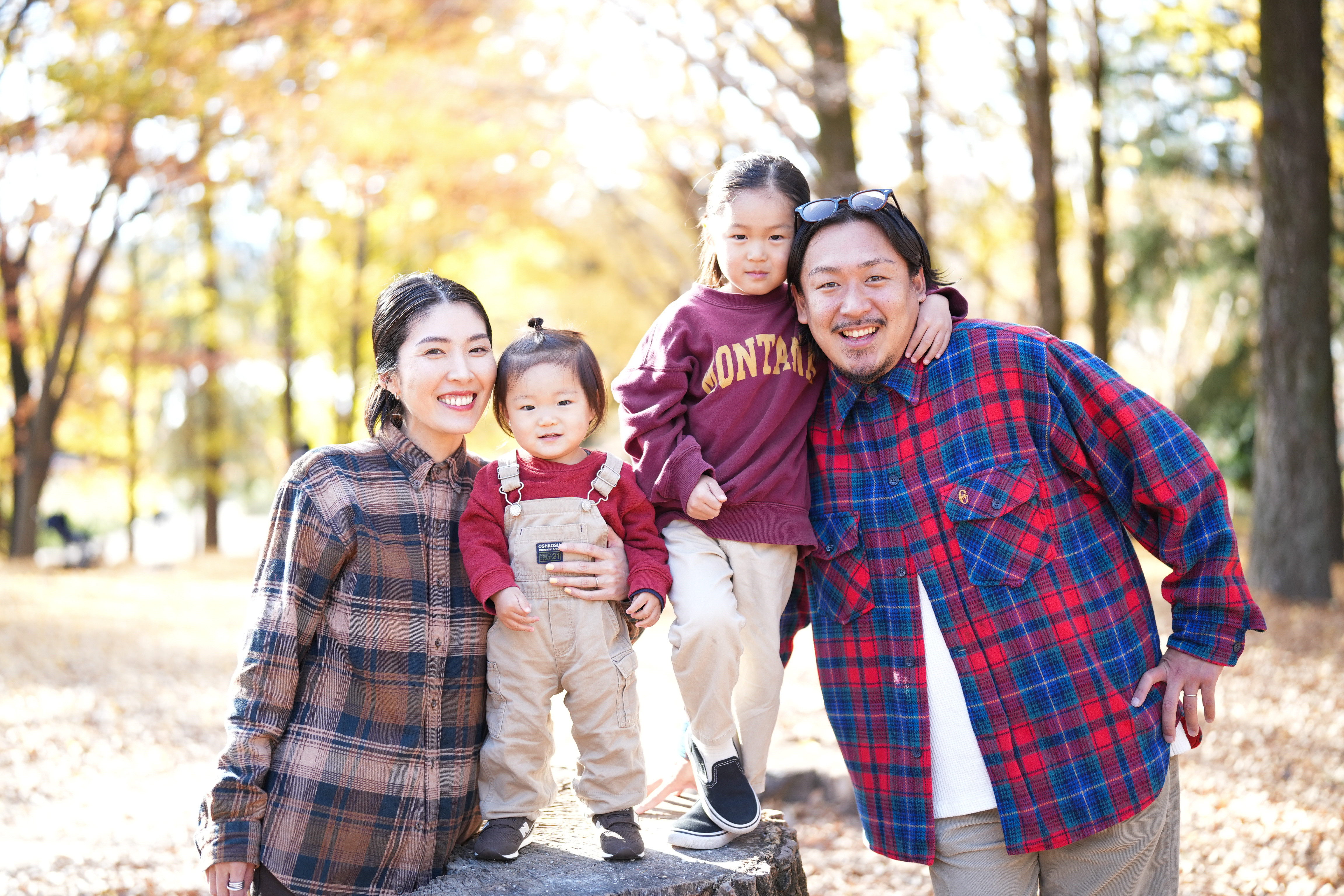 公園フォト