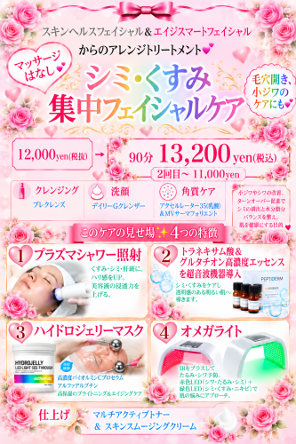 シミくすみ集中お客様用.png