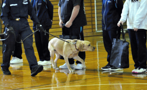 10月25日－美瑛カレーうどん20周年記念パーティーほか