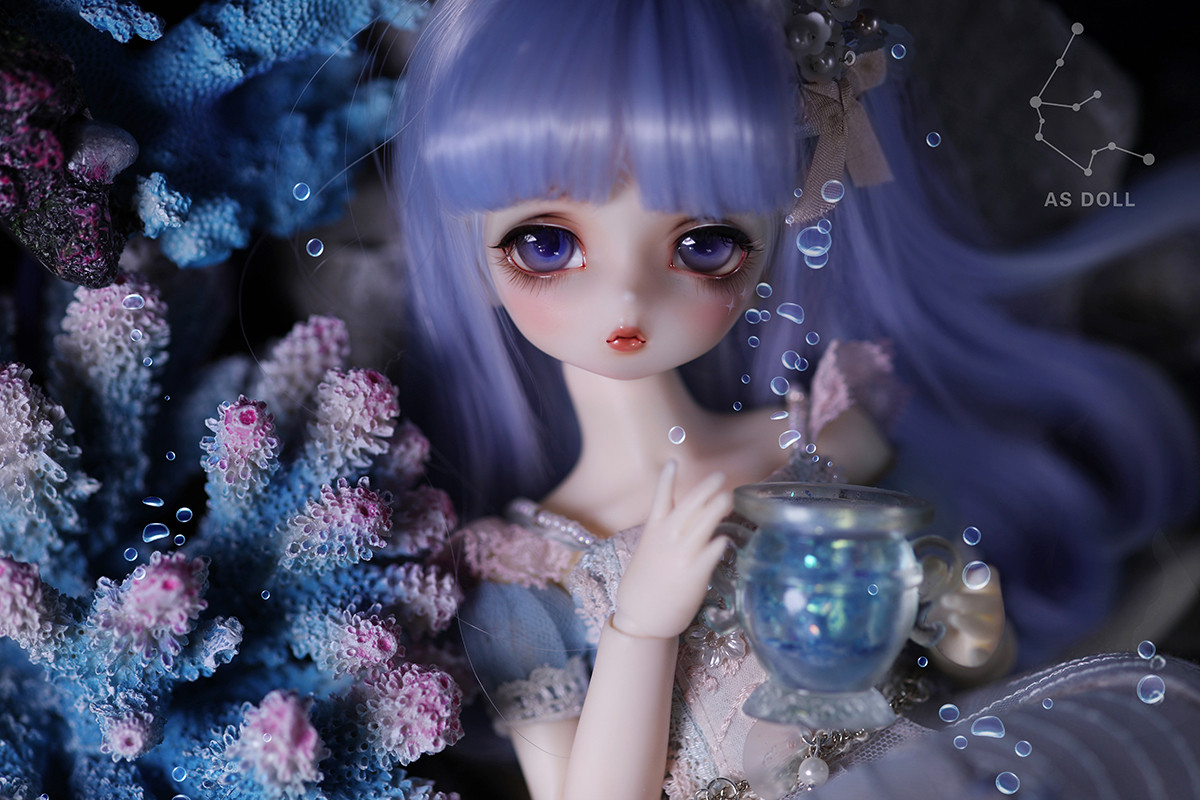 2アクエリアス限定.jpg