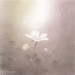 flower-110.jpg