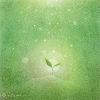 forest-02.jpg