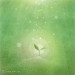 forest-02.jpg