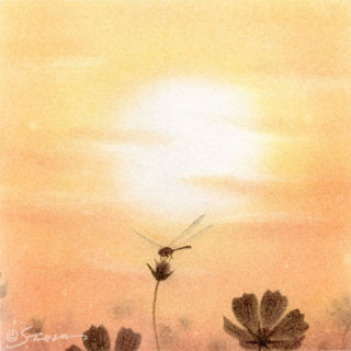 twilight-01.jpg