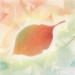 leaf-65.jpg