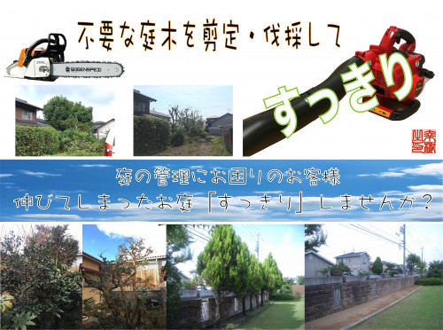 不要.jpg