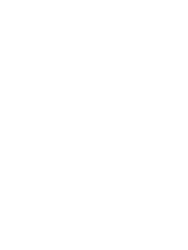 静流