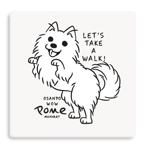 犬 散歩 ポメラニアン 小型犬 ポメ ポメ活 お散歩に行きましょう 白ポメ