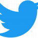 2021 Twitter logo - blue.png