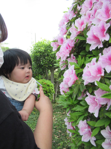 IMG_2250.jpeg