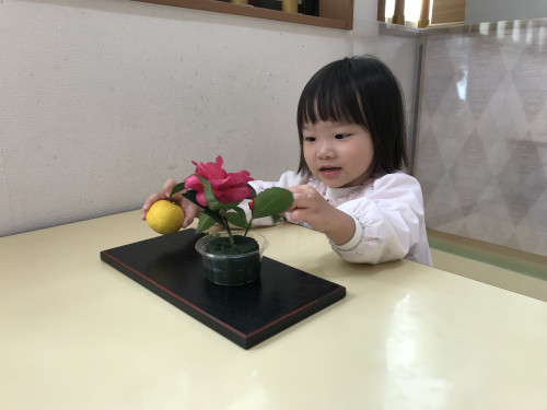 IMG_8561.jpeg