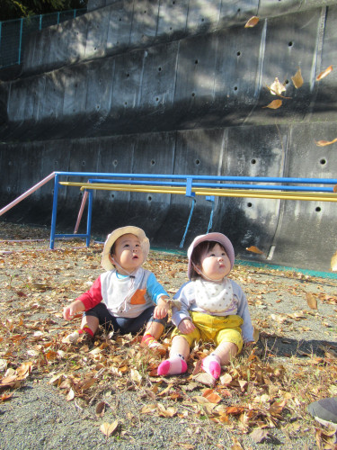 IMG_8520.jpeg