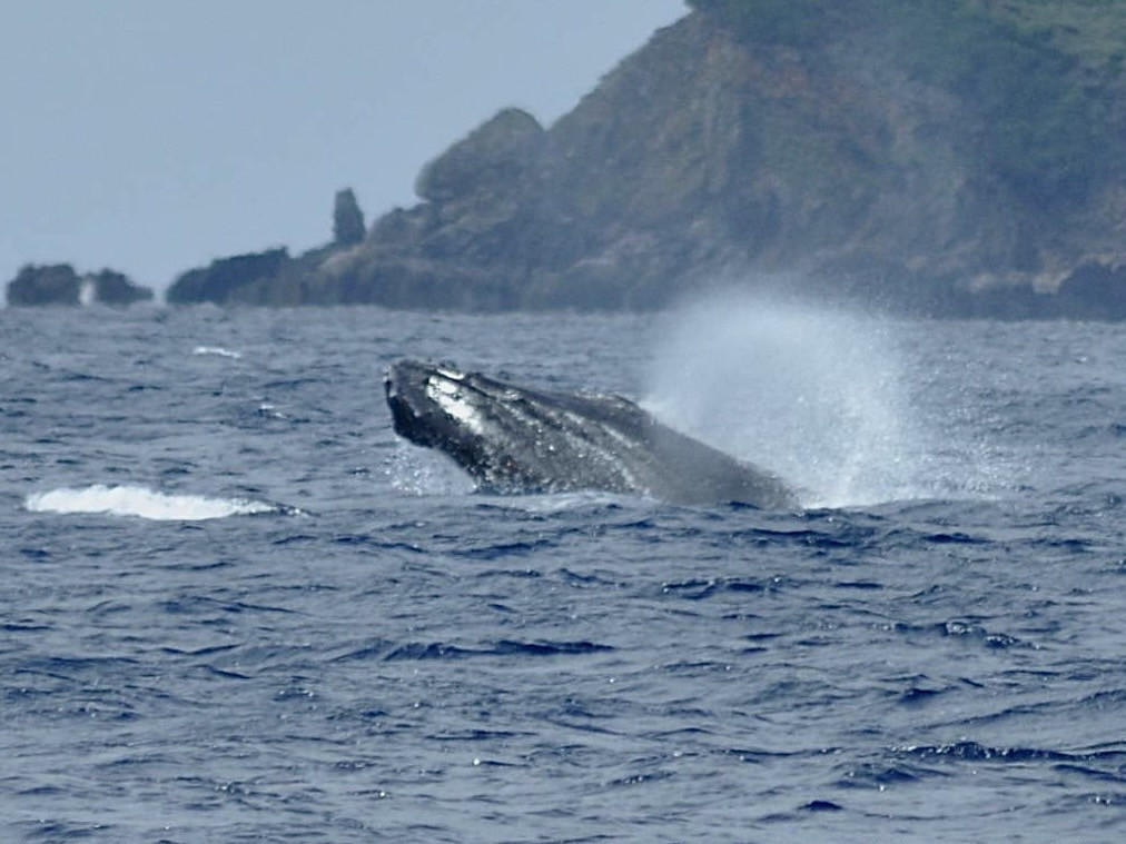 「1～3月の期間限定！」