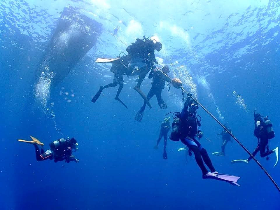 「青い！！アマミブルー！！」