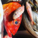 ブイヤベースの魚.jpg