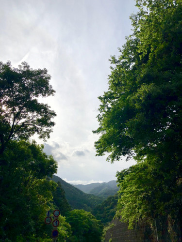 Mt　Yugawara.jpg