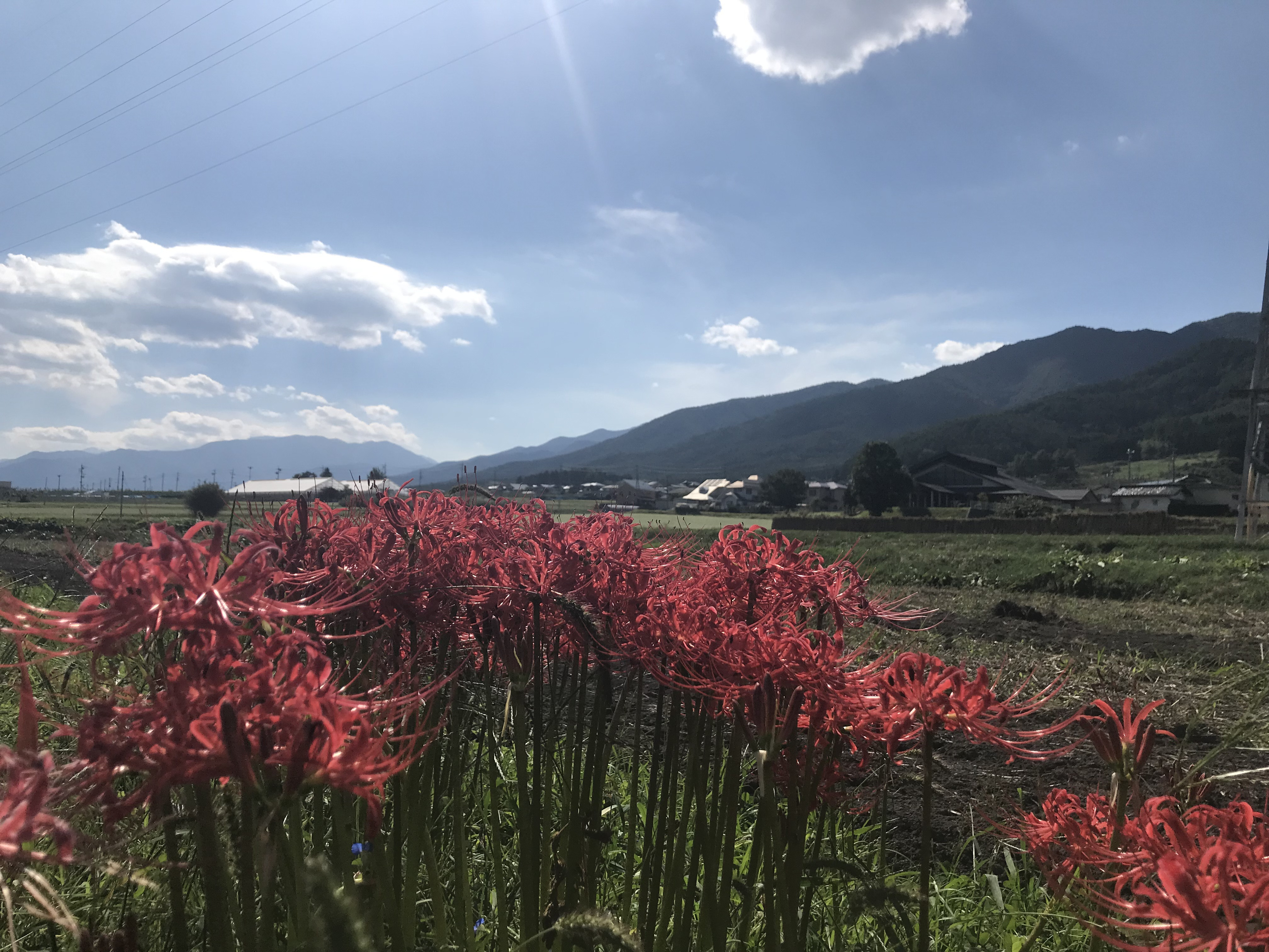 ブログ