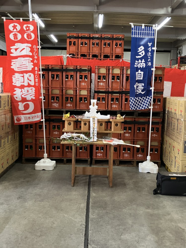 立春朝搾りまだ在庫あります。