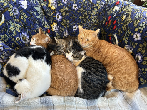 1月の営業日のお知らせ